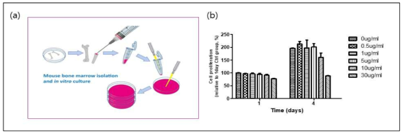 (a) Method of collecting mouse bone marrow-derived macrophages (b) Cytotoxicity by GDEs concentration in mouse BMM