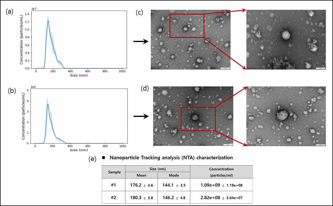 GDEs number of particles through NTA and TEM analysis (a) NTA of GDEs before sucrose elimination (b) NTA of GDEs after sucrose elimination (C) TEM image of GDEs before sucrose elimination (d) TEM image of GDEs afer sucrose elimination (e) NTA charaterization of #1: GDEs before sucrose elimination through #2: NTA charaterization of GDEs after sucrose elimination