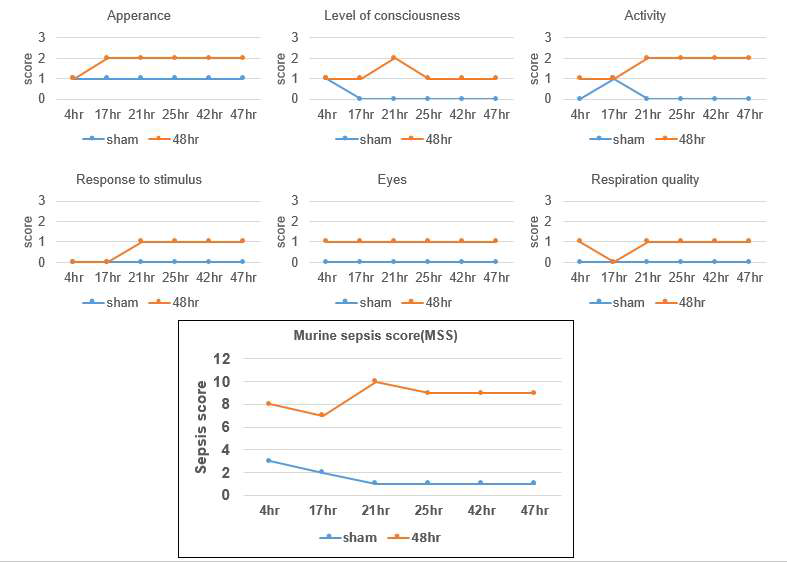 MSS socre fo sham mouse vs sepsis mouse (48h)