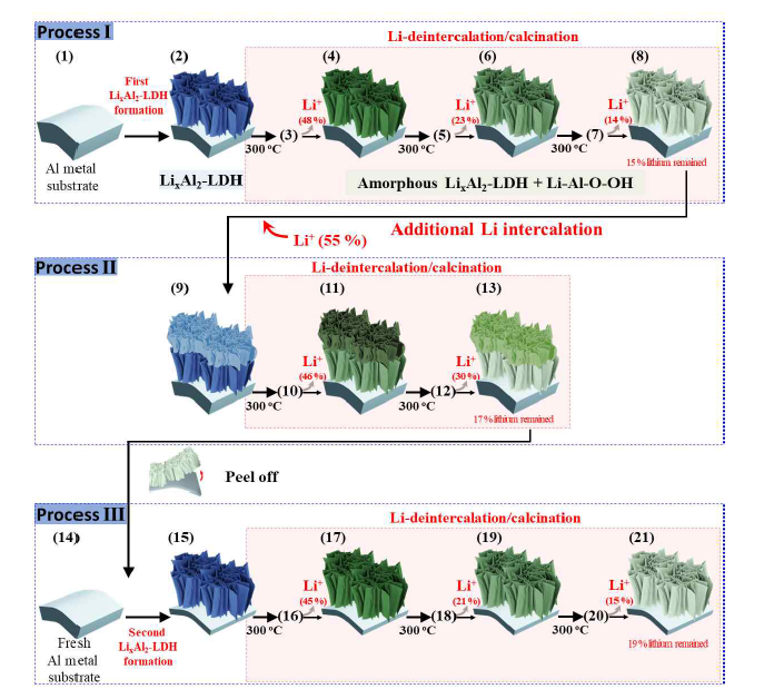 알루미늄 금속 기판에서 리튬 고정화 및 다중 탈리의 개략도.