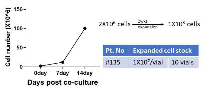 폐암환자의 PBMC expansion 확인 (#135)