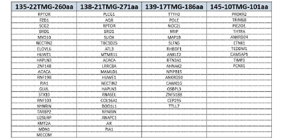 MHC class I TMG 합성 및 제작을 위하여 에측된 신생항원 유전자 목록 (1차년도 진행)