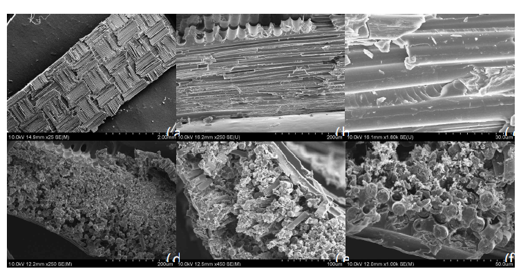 에폭시 수지를 사용한 폐목재 프리프레그의 SEM 이미지 (a)프리프레그의 표면, (b),(c)프리프레그 축방향 단면, (d),(e),(f) 프리프레그 단면
