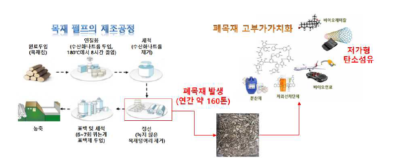 목재 펄프 제조공정 및 공정 내 발생하는 폐목재의 고부가가치화 전략