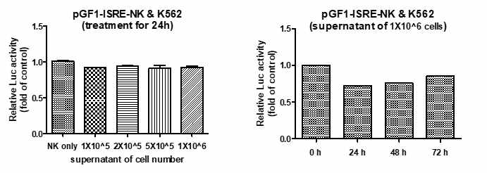 K562의 세포수 별, 시간대별 상층 처리에 따른 pGF1-ISRE-NK세포의 luciferase activity