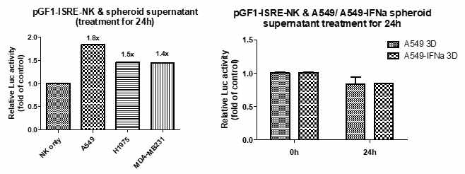 고형암 3D spheroid 상층 처리에 따른 pGF1-ISRE-NK세포의 luciferase activity