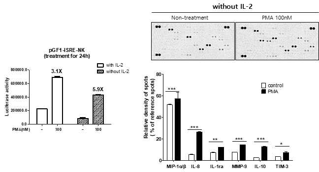 PMA 처리에 의해 활성화된 pGF1-ISRE-NK에서 방출된 cytokine 검출 이미지 및 정량분석