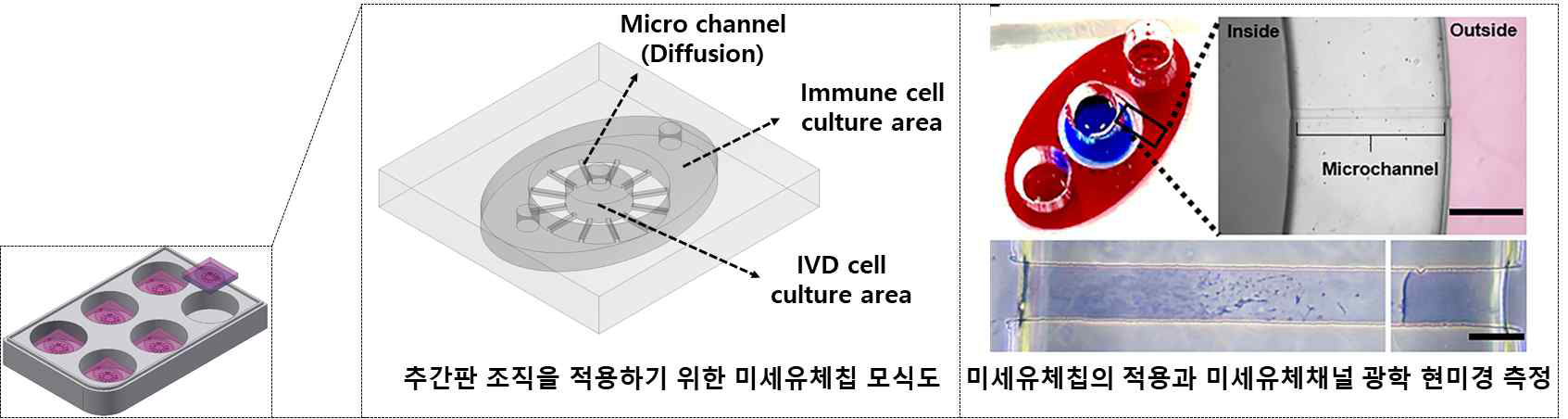 미세유체 세포 공동배양 플랫폼 모식도