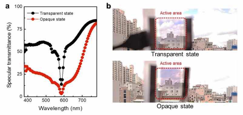 제작된 액정 셀의 (a) 투과 스펙트럼과 (b) 실제 구동 사진