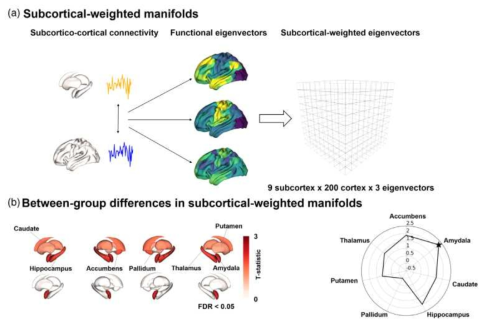 Subcortical-weighted manifold calculation 개요. b. (좌상)편두통 환자군이 정상군과 다르게 보이는 전체 피질하영역, (좌하)FDR <0.05의 유의성을 보이는 피질하영역, (우)각각의 피질하영역의 효과 요약