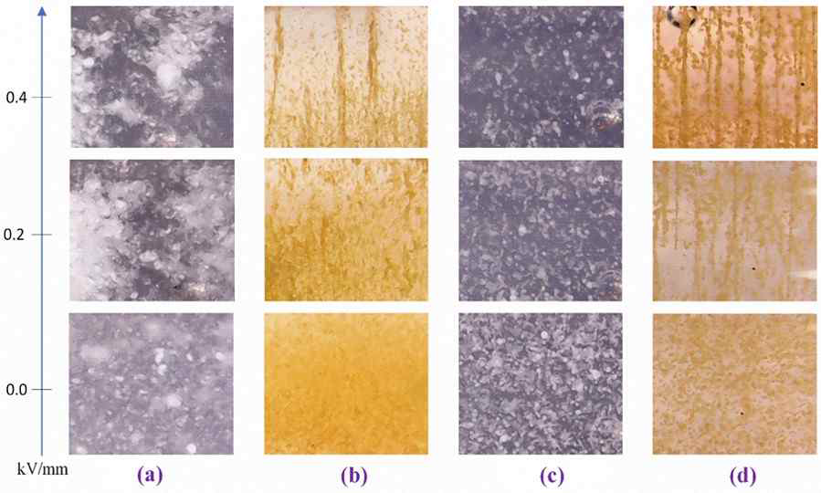 광학현미경을 이용한 전기장에서의 전기유변유체내 전기유자 배열 관찰. (a) nano PAN, (b) aminated nano PAN, (c) micro PAN, (d) aminated micro PAN 입자가 분산된 전기유변유체.