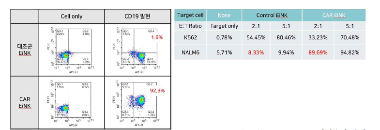 CAR(CD19)-iPS세포의 NK세포로의 분화 및 in vitro 효능 테스트. anti-CD19발현율이 유지 되는지를 확인하는 FACS 데이터 (좌) 및 CD19 발현 양성 암세포주의 사멸정도 측정 (우)