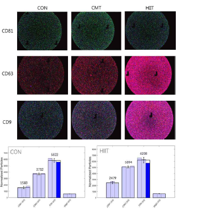 CMT 및 HIIT 일회성 운동 수행에 따른 엑소좀의 양적 패턴 변화 확인 및 exosome marker의 particles 수 비교