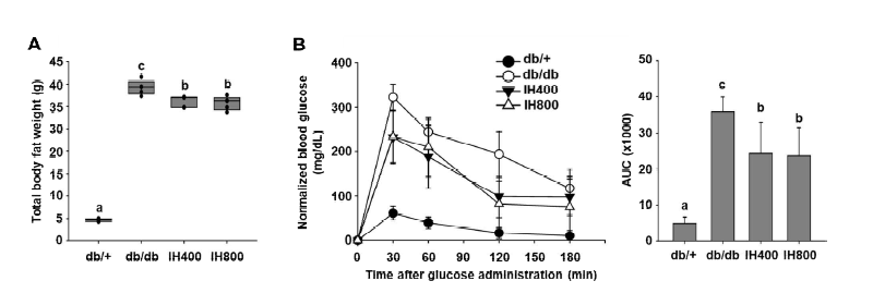 제2형 당뇨 마우스(C57BLKS/J db/db) 모델에서 IHE 투여가 체지방 무게 및 인슐린 저항성에 미치는 영향 (All results are expressed as means ± SD and different superscripts are significantly different at P < 0.05 by Duncan's multiple range test.)