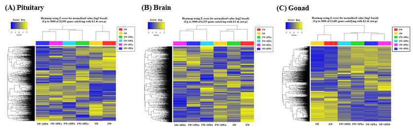 Hierarchical clustering heatmap of the top 3000 genes expressed in the pituitary (A) brain (B) and Gonad (C) obtained from different conditions of sexual maturation induction.