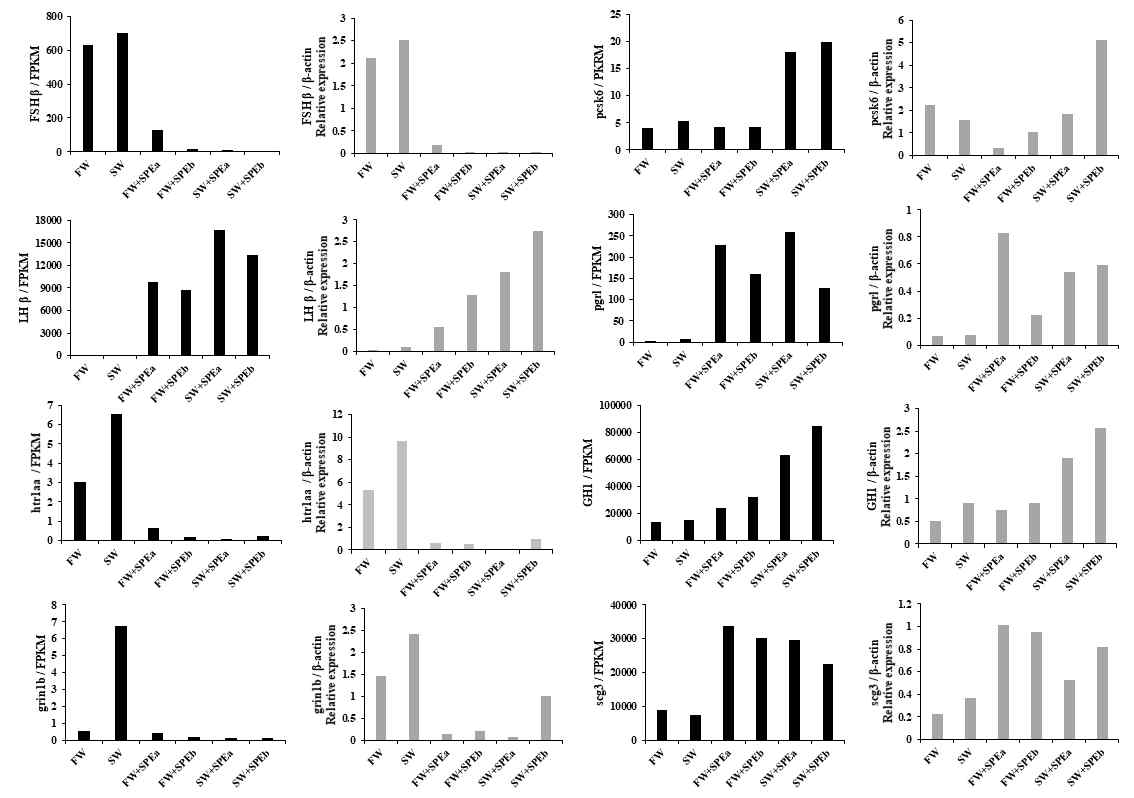 Validation of the expression of 8 genes in transcriptome data by RT-qPCR. β-Actin was used as a reference gene.