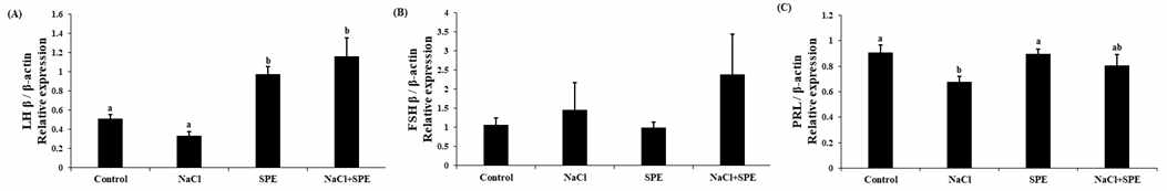 Expression levels of LHβ (A), FSHβ (B) and PRL (C) in control, NaCl, SPE and NaCl+SPE groups eel pituitary cell culture. Relative abundance of the mRNA was measured by the comparative threshold cycle method using qRT-PCR and normalized th the amount of β-actin mRNA. Results are expressed as means±S.E.M. (n=3-4). Different letters above the bars represent significant differences (p<0.05).