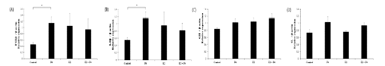 Expression of FSHβ, LHβ, GH, and SL genes after treatment of progsterone and estrogen for each group (Control, P4, E2 and E2+P4).