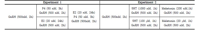 Experimental groups and treatment concentrations