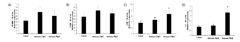 Expression of FSHβ, LHβ, GH, and SL genes after treatment of melatonin for each group (Control, Melatonin 고농도, Melatonin 저농도).