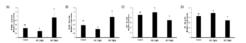 Expression of FSHβ, LHβ, GH, and SL genes after treatment of Serotonin for each group (Control, 5HT 고농도, 5HT 저농도).