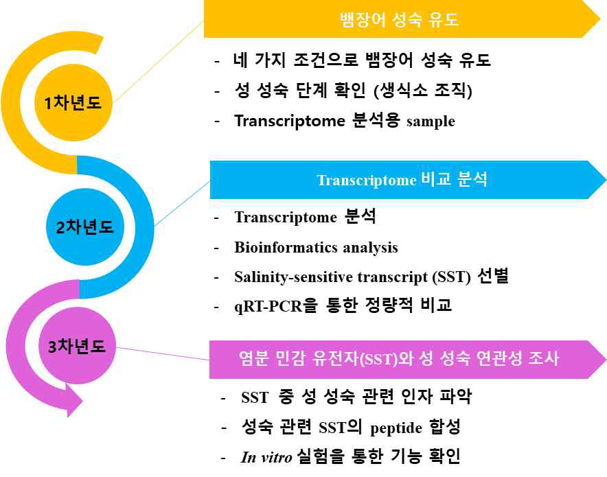 연구 추진 내용 및 연차별 진행도.