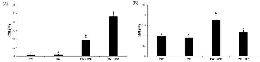 GSI (A) and HSI (B) of the eels reared at four different conditions for 8 weeks (FW, SW, FW+SPE and SW+SPE) to induce sexual maturation. GSI and HSI results are expressed as means±S.E.M. (n=6). Different letters above the bars represent significant differences.