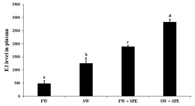 Level of E2 in the plasma obtained from the eels reared at four different conditions for 8 weeks (FW, SW, FW+SPE and SW+SPE) to induce sexual maturation. E2 results are expressed as means±S.E.M. (n=6).