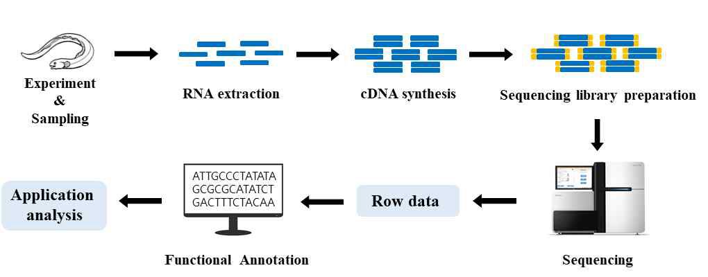 Workflow of transcriptome analysis.