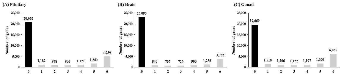 Distribution of transcripts with various number of zero counts for the pituitaries, brains and gonads of eels obtained from different conditions of sexual maturation induction.