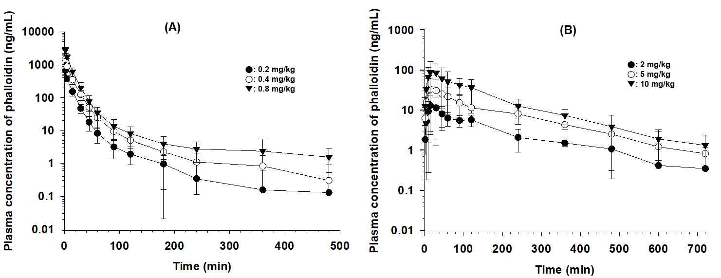 수컷 ICR 마우스에 phalloidin 정맥주사 (A) 또는 경구투여 (B) 후 혈장 중 phalloidin 농도곡선