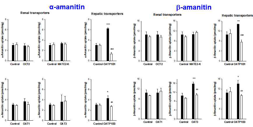 약물수송체 과발현 세포에서 α-amanitin과 β-amanitin의 기질성 평가