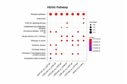영장류 분변미생물이식술 실험군의 KEGG pathway 분석 결과