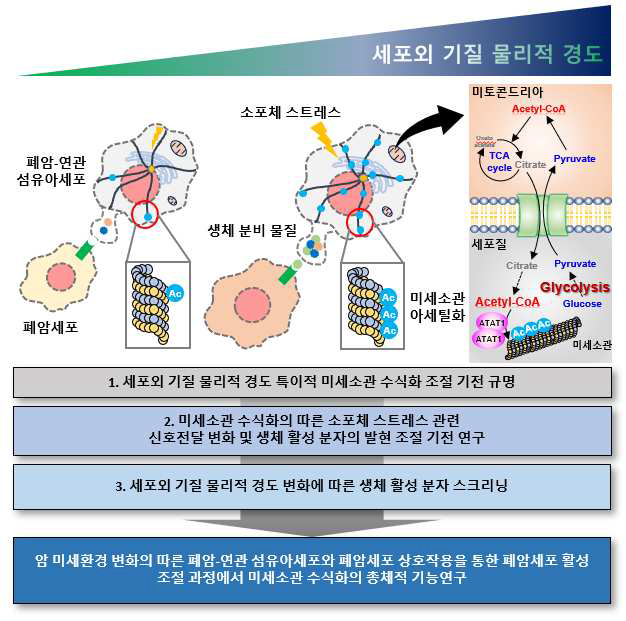 최종 연구 가설 및 목표