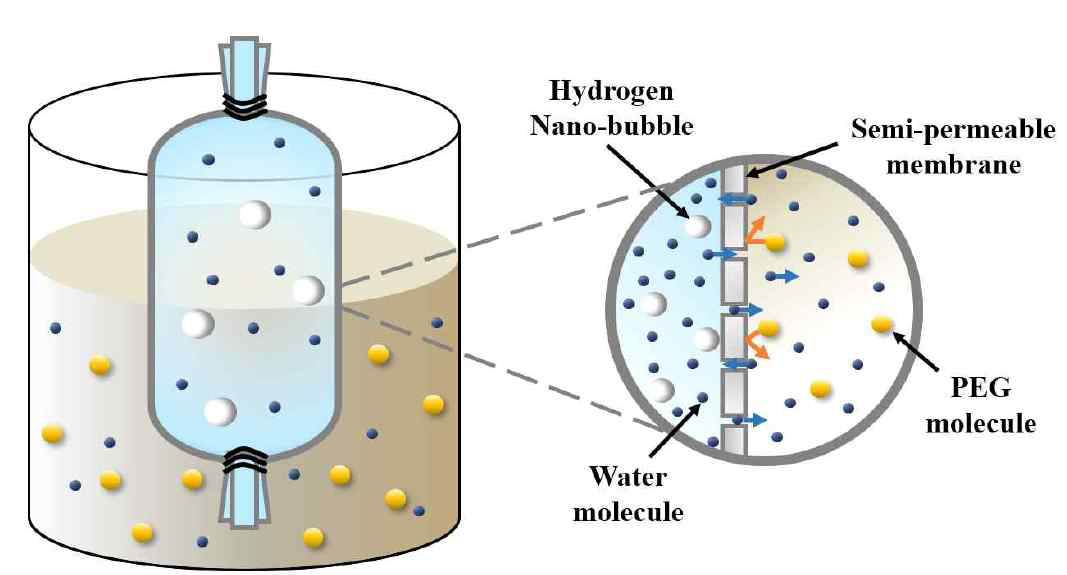 삼투압을 이용한 수소나노버블수의 고밀도화