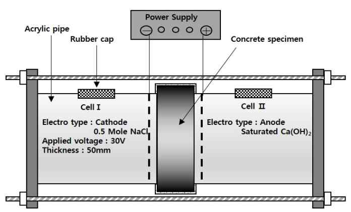 염화물 침투실험 모식도