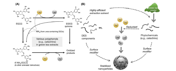 DES 기반 GTE를 이용한 은나노입자의 생합성 기전 및 DES 역할 제안 (Liu 등, J Clean Prod 2022)