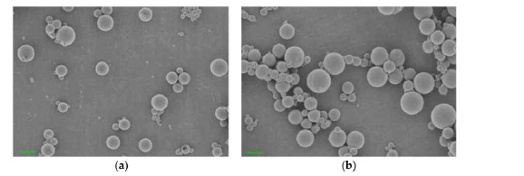 Dexamethasone loaded PLGA microparticle (a)과 PLGA/PBMP microparticle (b)에 대한 FE-SEM images