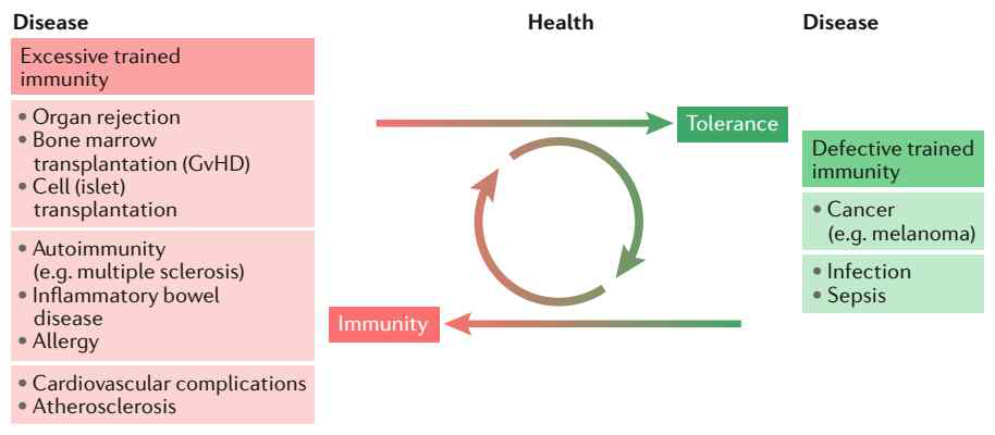 Excessive trained immunity 관련성이 알려진 질환(pink box)