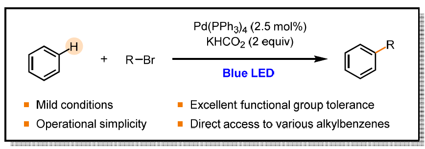 광유도된 Pd을 이용한 직접적 C(sp2)–H Alkylation 반응