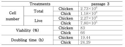 닭 근육위성세포와 병아리 근육위성세포의 Total cell number , Live cell number, 생존율, Doubling time 비교
