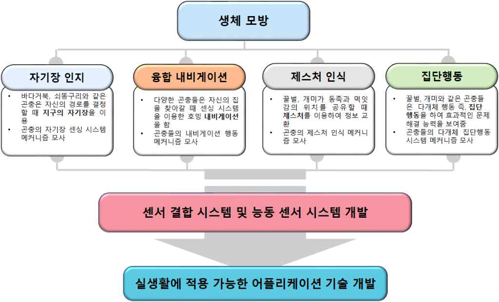 연구계획 모식도