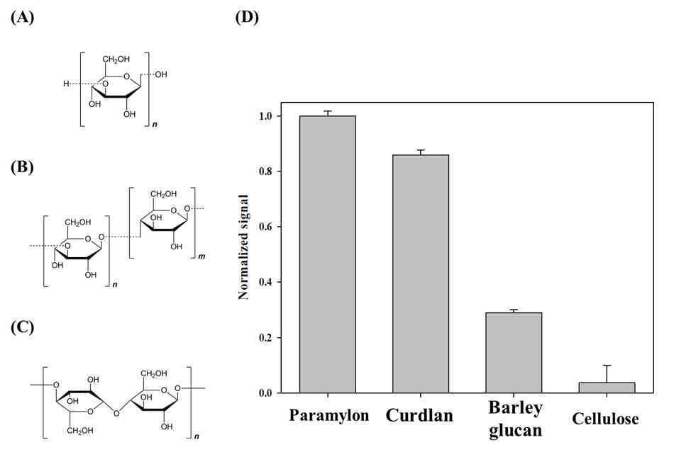 Par-7의 selectivity 확인. (A) Paramylon, curdlan 구조 (B) barley glucan 구조 (C) cellulose 구조 (D) 형광 세기