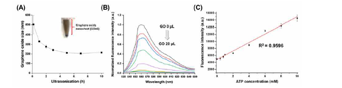 GO/aptamer 복합체 연구 (A) GO 크기 (B) GO 농도에 따른 형광 소광 정도 (C) ATP 농도와 형광 세기간 상관관계