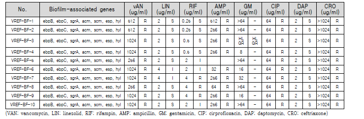 VREF 대상주의 생물막 형성 독성인자 분석