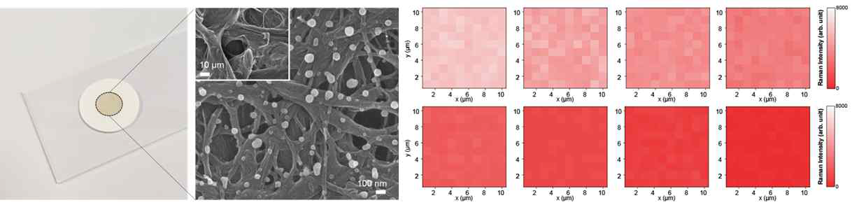 Cluster source sputter system을 이용한 저비용 플라즈모닉 나노구조와 라만 맵핑으로 확 인한 검출 한계 및 재현성