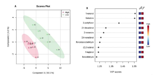 (A) score plots of partial least squares discriminant analysis (PLS-DA) and (B) variable importance in projection (VIP) score plot of odor-active volatiles in cooked rice of 41 samples with low and high palatability.