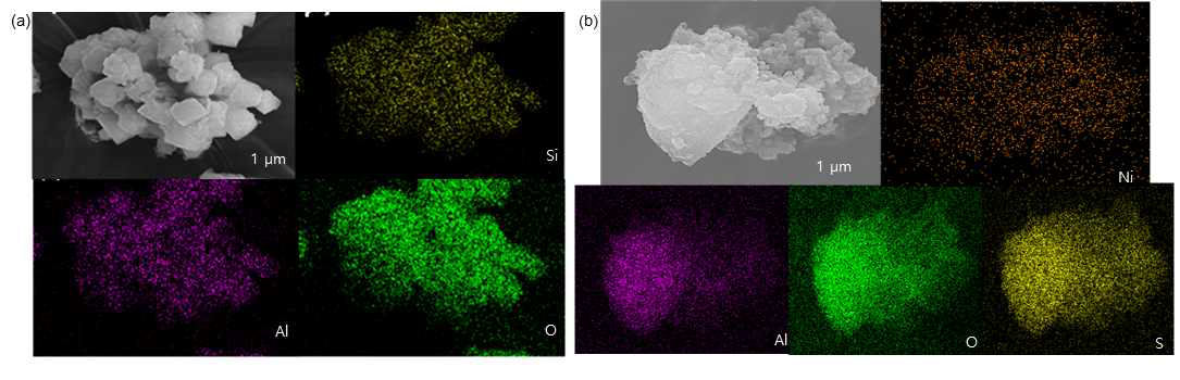 (a) Zeolite EDS mapping 결과, (b) Ni-zeolite EDS mapping 결과