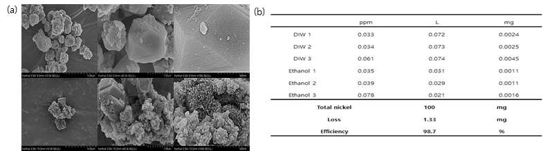 (a) Ni-zeolite HR-FESEM 결과, (b) Ni-zeolite ICP-OES 결과