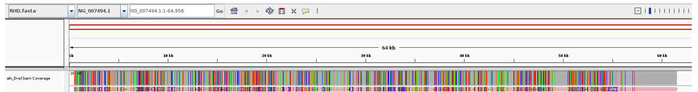 integrative genomics viewer로 확인한 RHD와 RHCE 사이의 모든 차이 나는 유전자 좌위